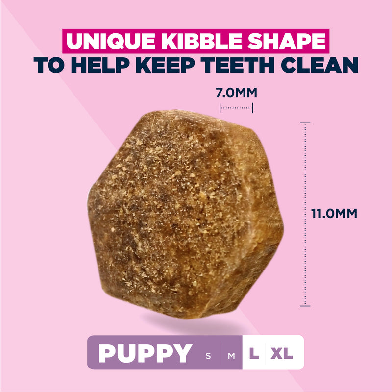 Eukanuba Puppy Lrg Chicken 12 kg