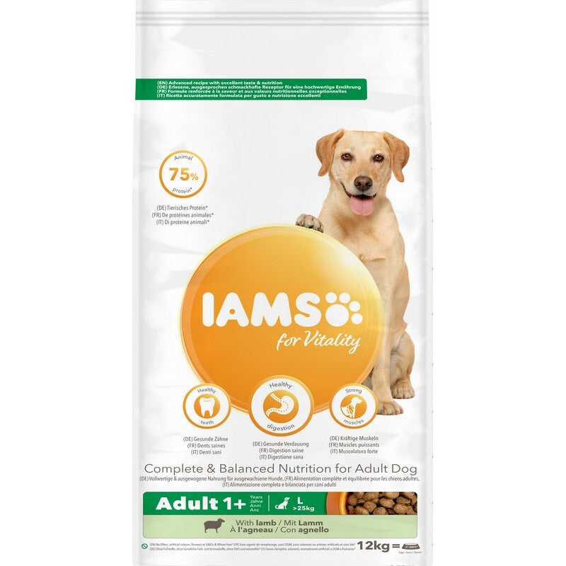 Iams Dog Adult L Lamb 12 kg
