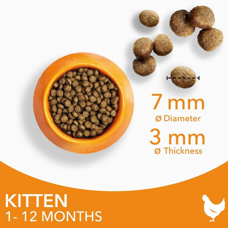 Iams Kitten Chicken 2x2kg