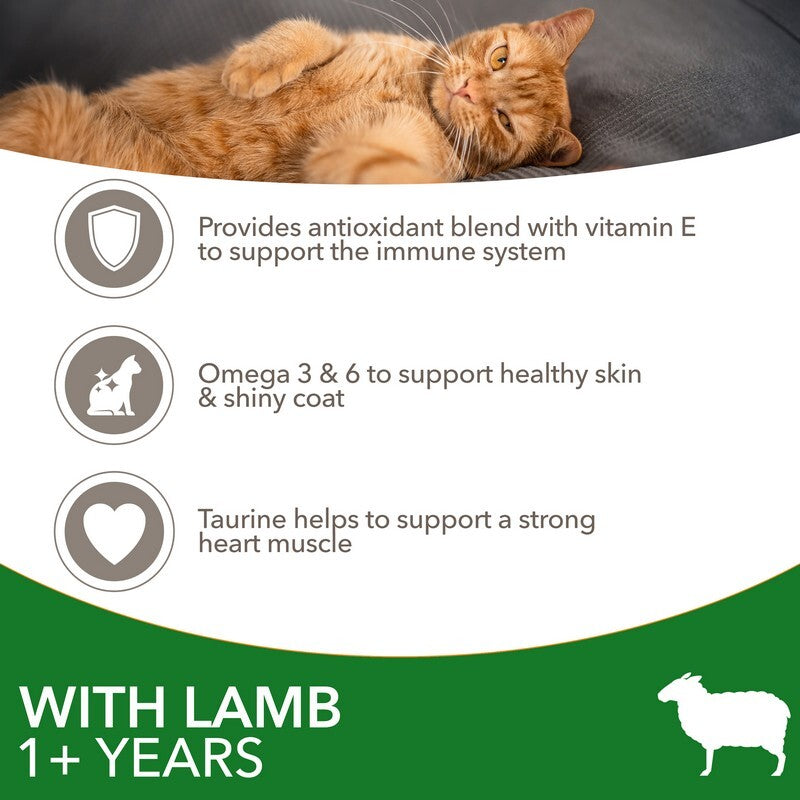 Iams Cat Adult Lamb 2x2kg