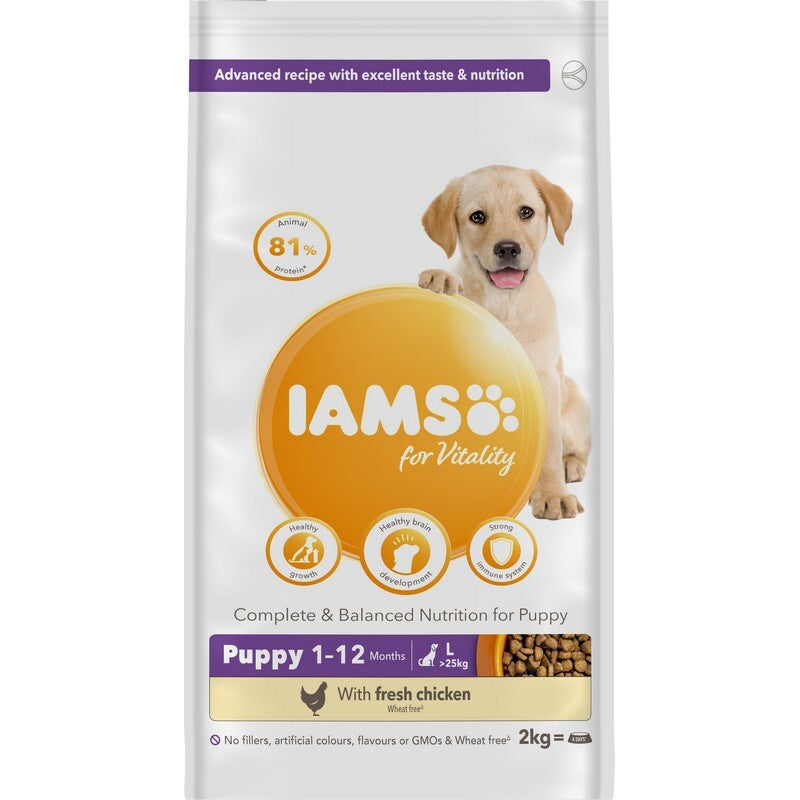 Iams Puppy L Chick 2x2kg