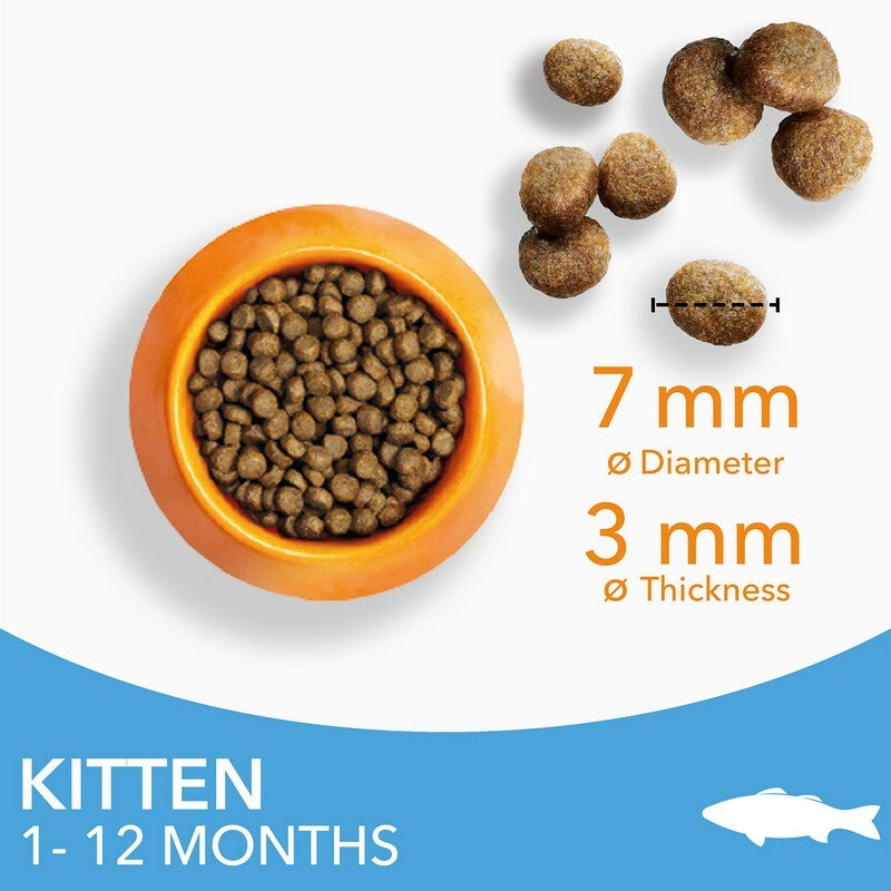 Iams Kitten Ocean Fish 2x2kg