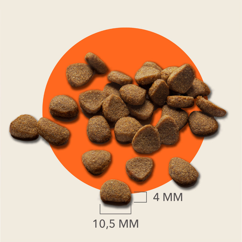 Iams Cat Senior Tuna 2kgx2