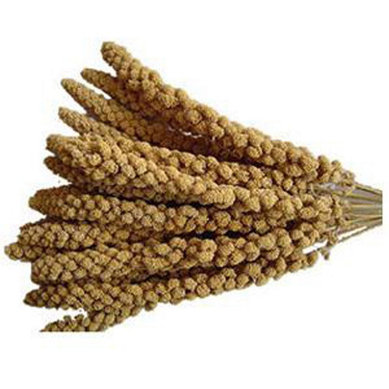 JJ Millet Spray 15 kg