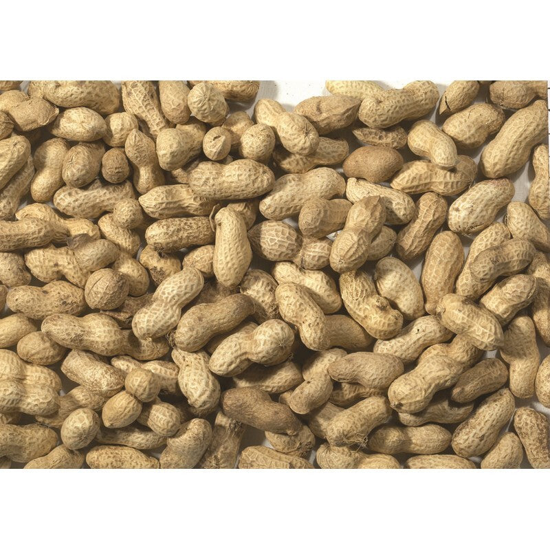 JJ Monkey Nuts in Shells 650gx6