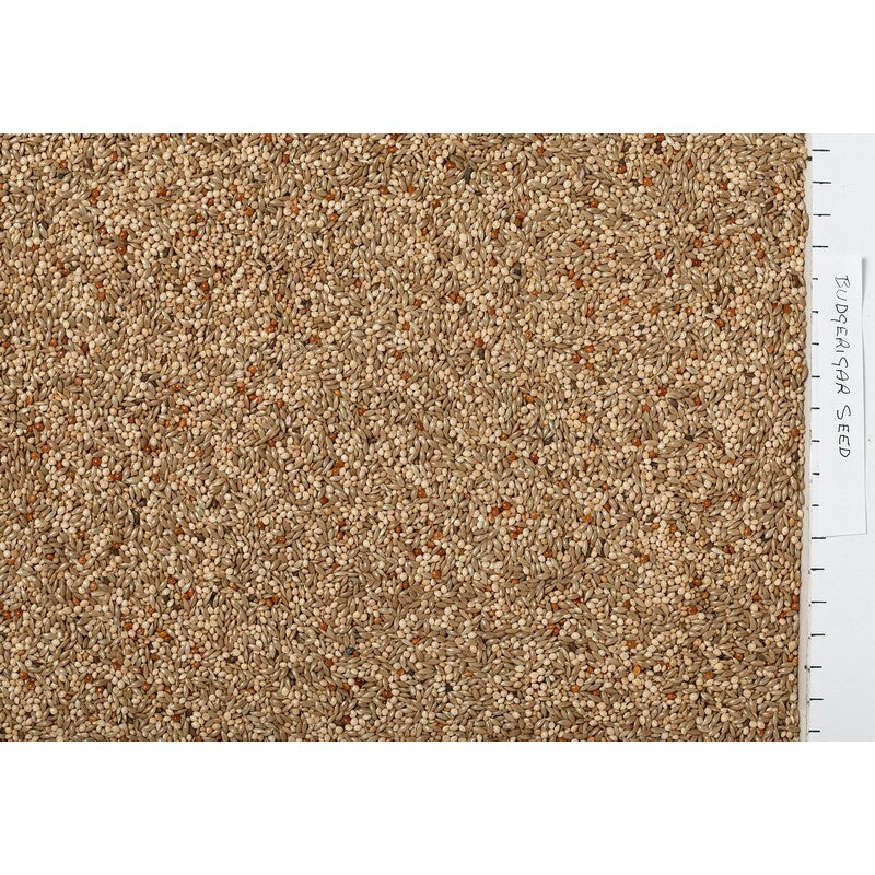 JJ Budgerigar Seed 3 kg