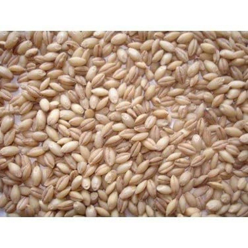 JJ Whole English Barley 20 kg