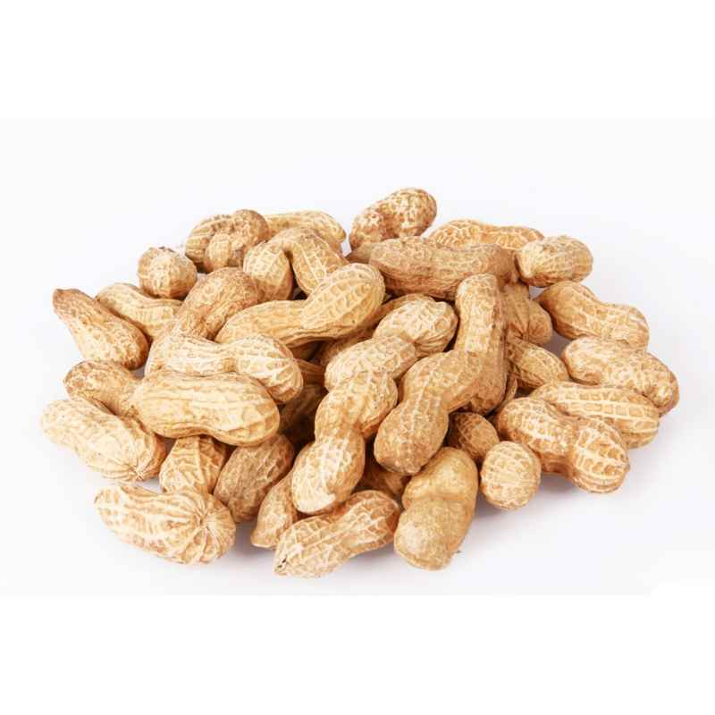 JJ Monkey Nuts in Shells 22lb 10 kg