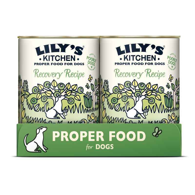 Lilys Kitchen Recover Recipe Tray 400gx6