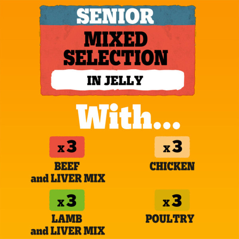 Pedigree Pch Senior Mix Jelly 100gx12x4