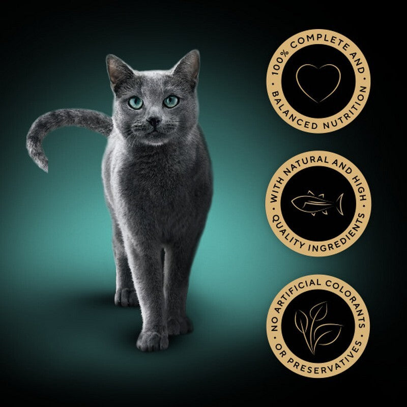 Sheba Tray Sauce Collection Tuna 85gx22