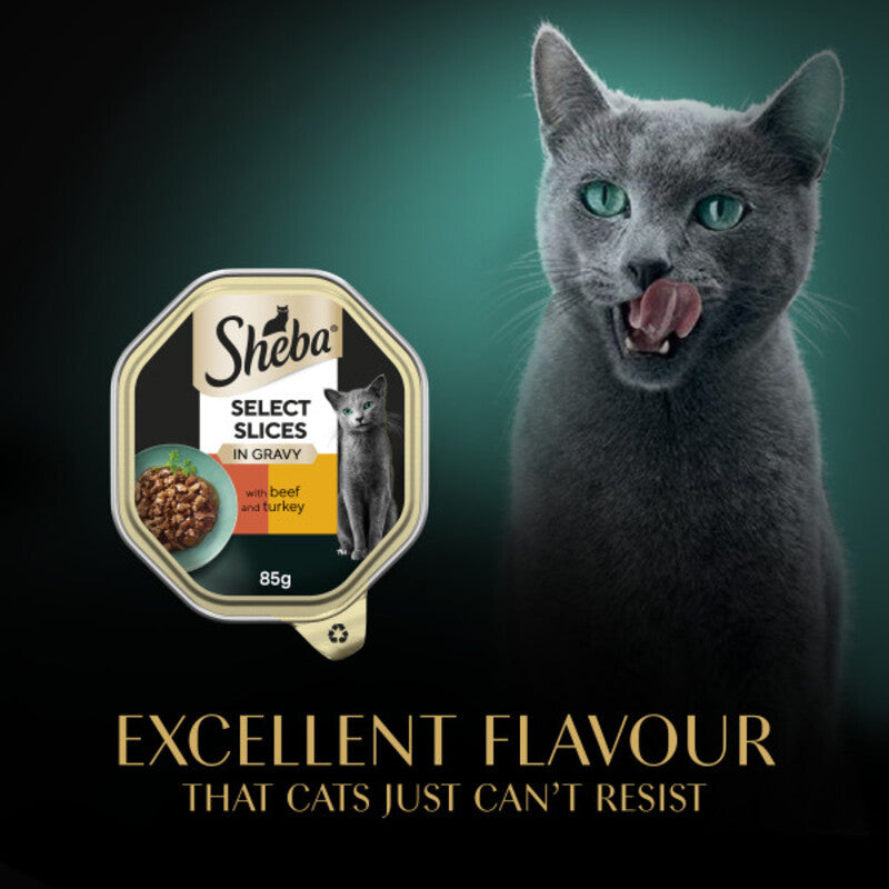 Sheba Tray Select Slices BfTk CIG 85gx22