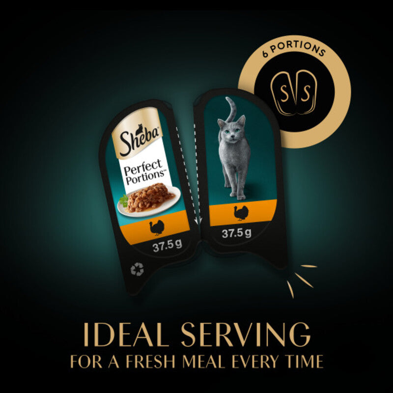 Sheba Perfect Portions Trky Grvy 75gx3x8