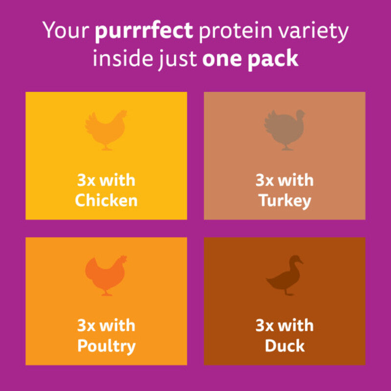 Whiskas Pch 1+ Poultry Fst Jel 85gx12x4