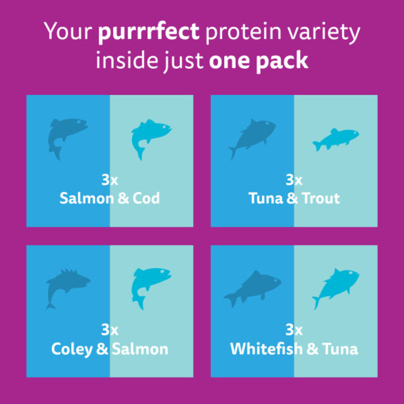 Whiskas Pch 1+ Duo Ocean D Jel 85gx12x4