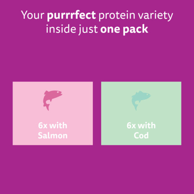 Whiskas Pch 11+ Fish Favour Jel 85gx12x4