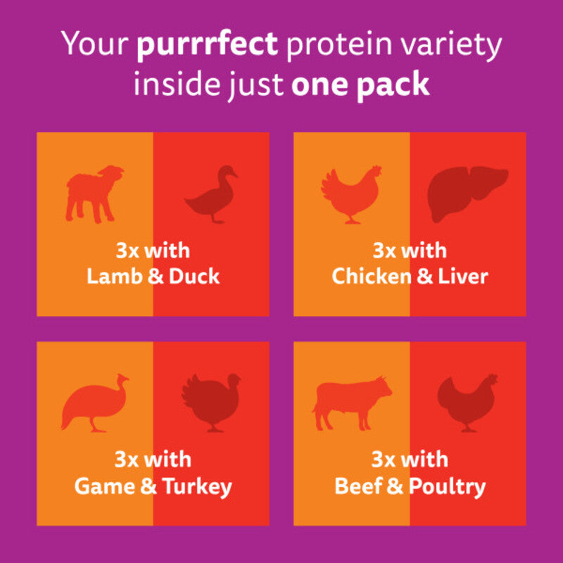 Whiskas Pch 1+ Duo Meaty C Jel 85gx12x4