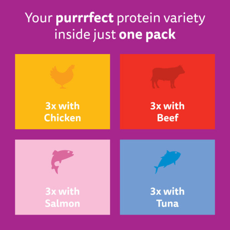 Whiskas Pch 2-12m Kit Mix M Jel 85gx12x4