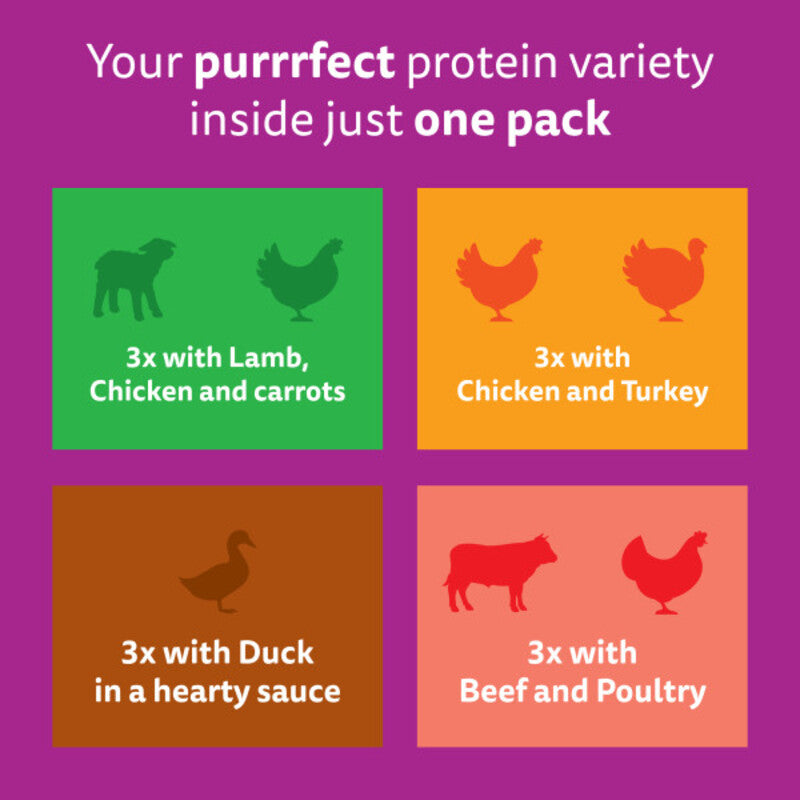 Whiskas Pch 1+ Tasty Country Grv85gx12x4