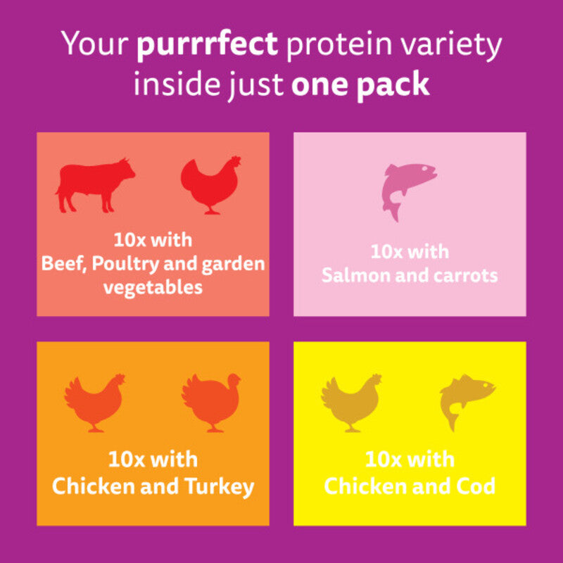 Whiskas Pch 1+ Tasty Chefs C Grv 85gx40