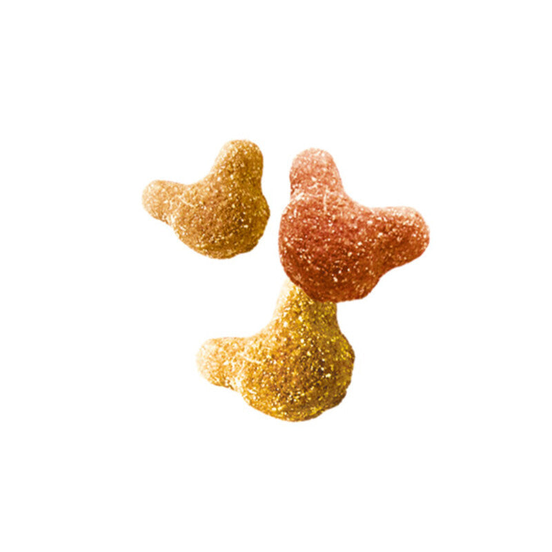 Whiskas Crunch 100gx6