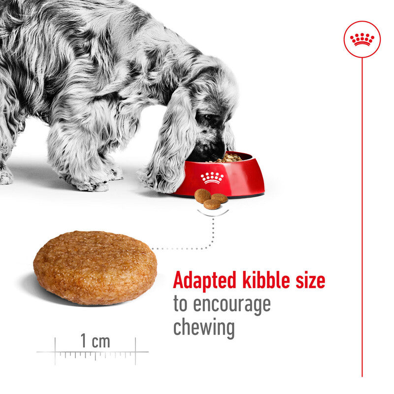 RC Medium Adult 15 kg