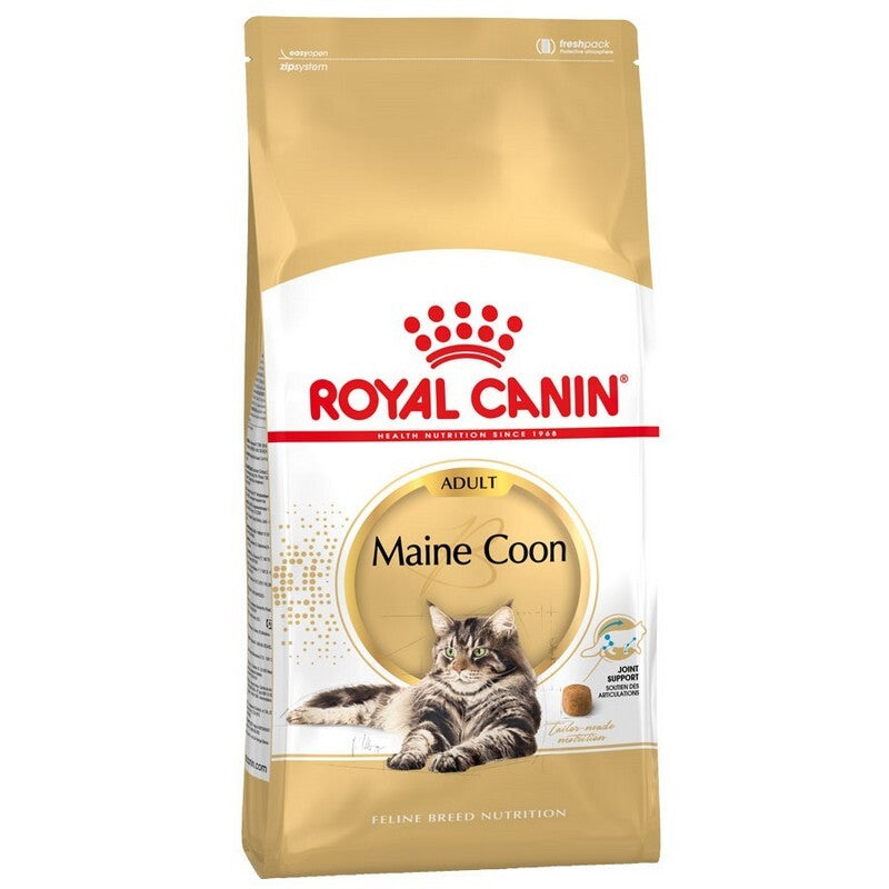 RC Maine Coon 10 kg