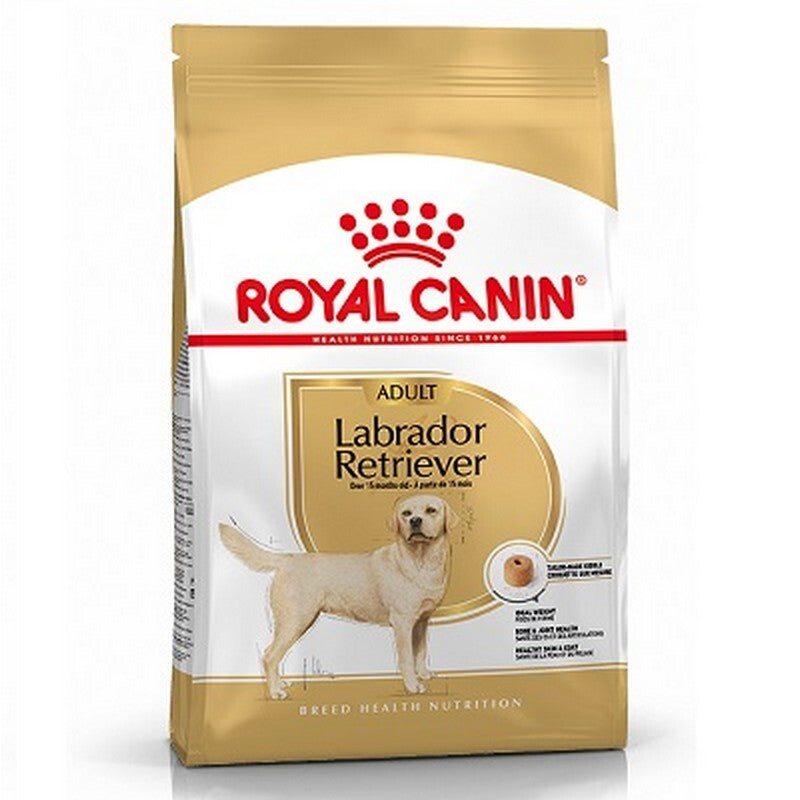 RC Labrador Retriever 12 kg