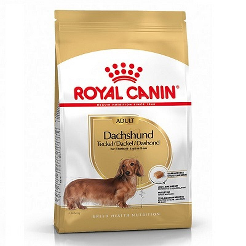 RC Dachshund 1.5 kg