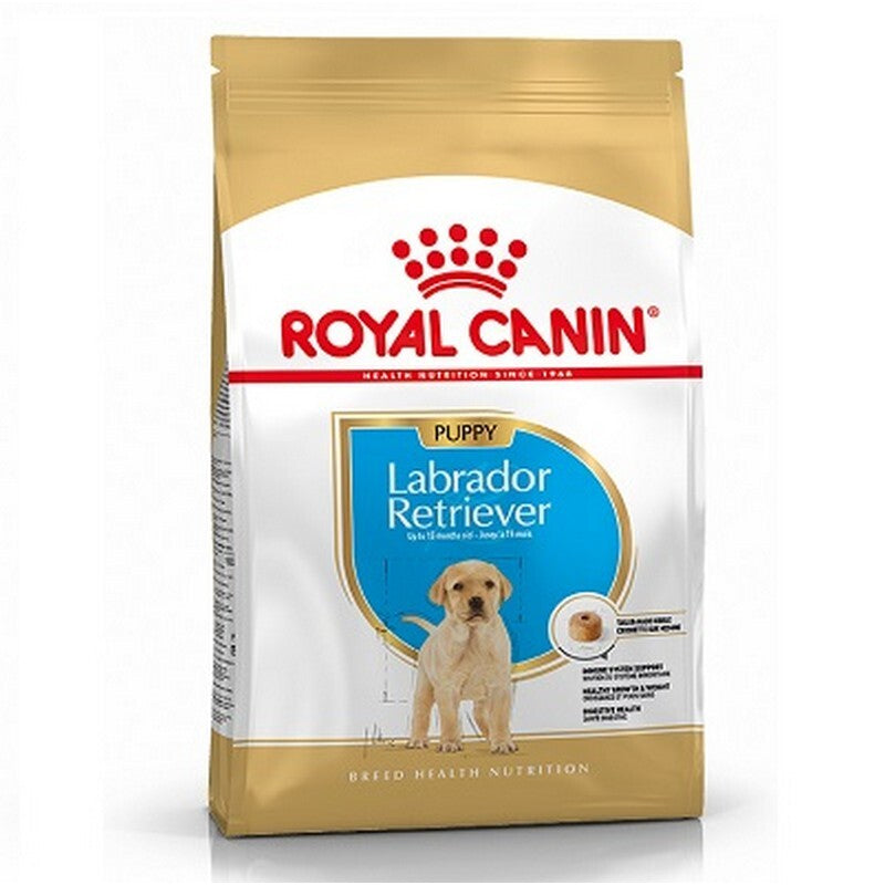 RC Labrador Retriever Puppy 3 kg