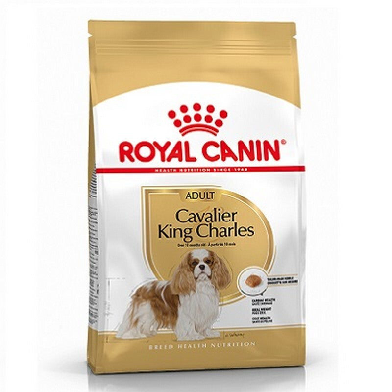 RC Cavalier King Charles 1.5 kg