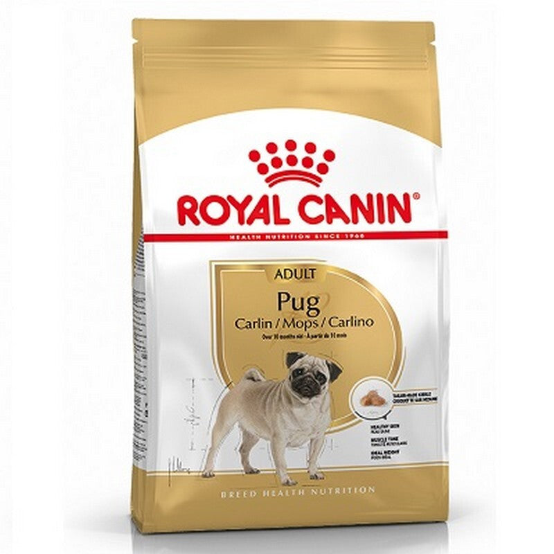RC Pug 1.5 kg