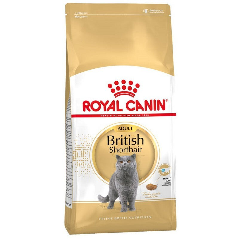 RC British Short Hair 4 kg