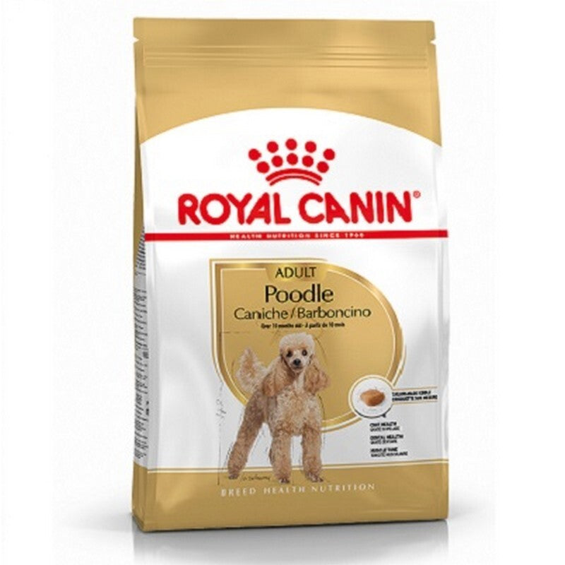 RC Poodle 7.5 kg