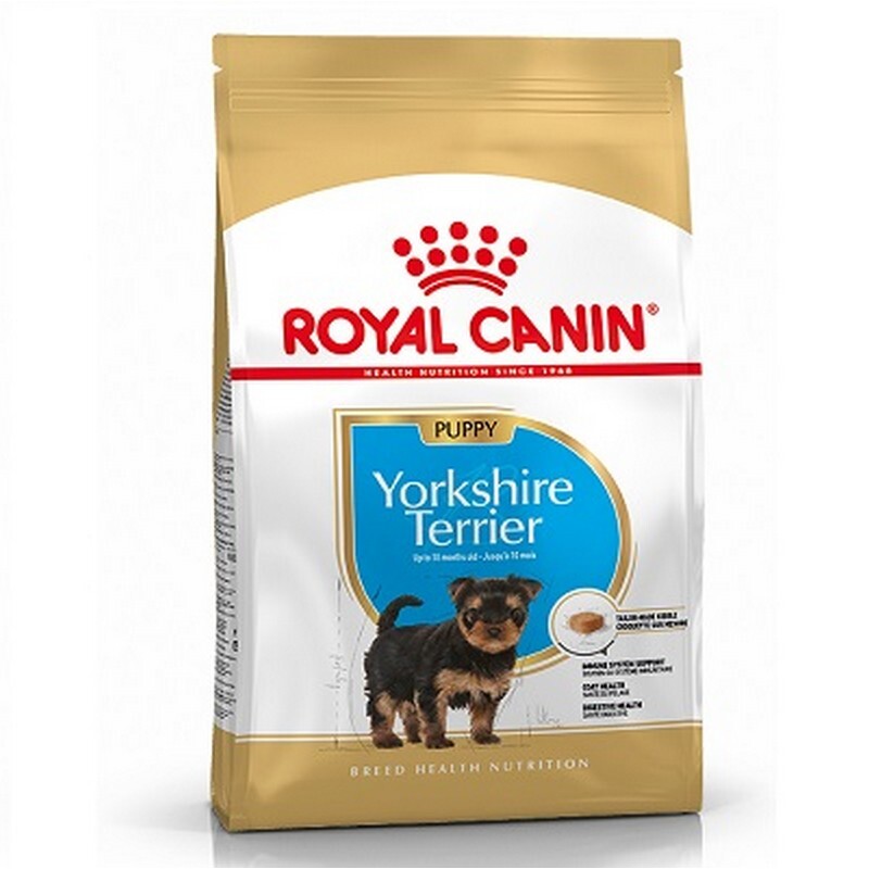 RC Yorkshire Terrier Puppy 1.5 kg
