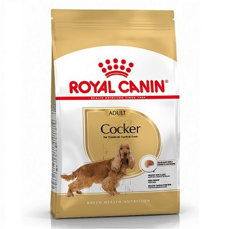 RC Cocker Spaniel 12 kg