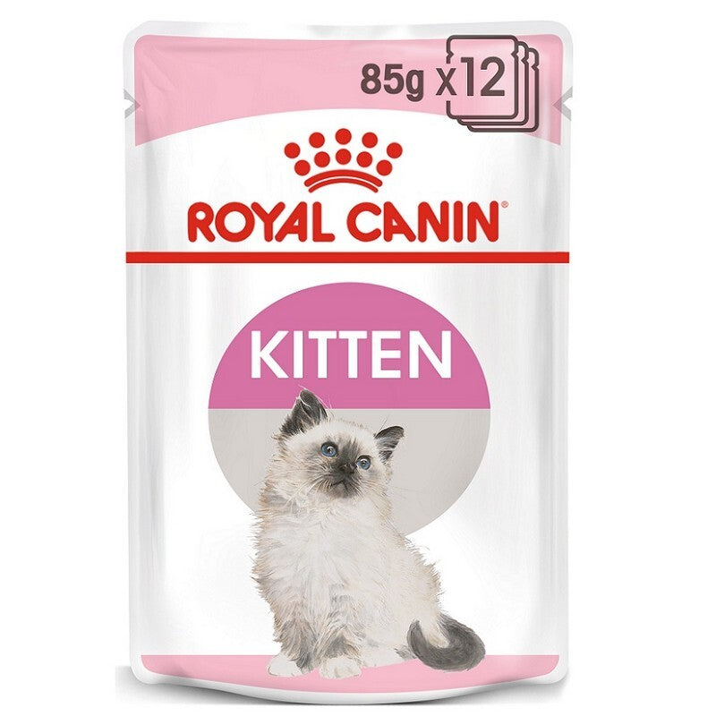 RC Kitten Instinctive in Gravy 85gx12
