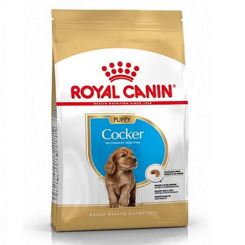 RC Cocker Spaniel Puppy 3 kg