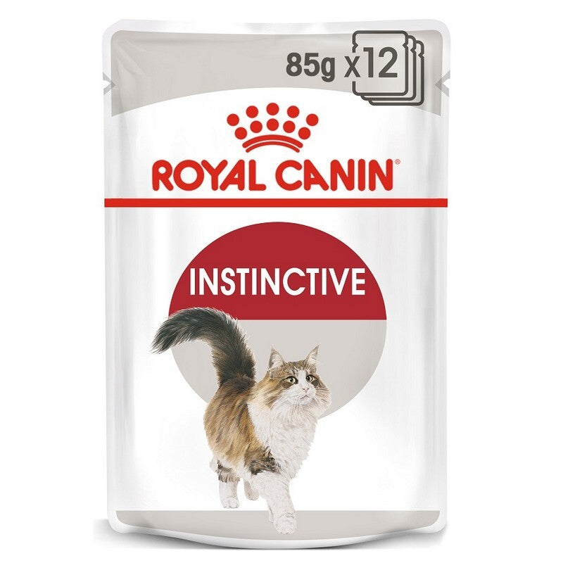 RC Instinctive In Jelly 85gx12