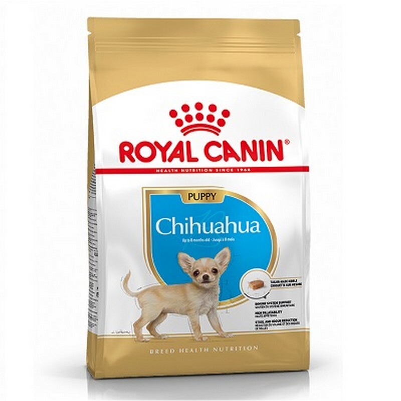 RC Chihuahua Puppy 1.5 kg