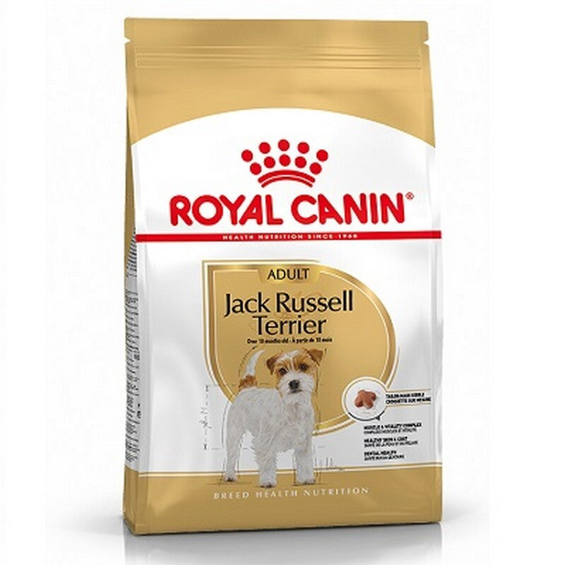RC Jack Russell 7.5 kg
