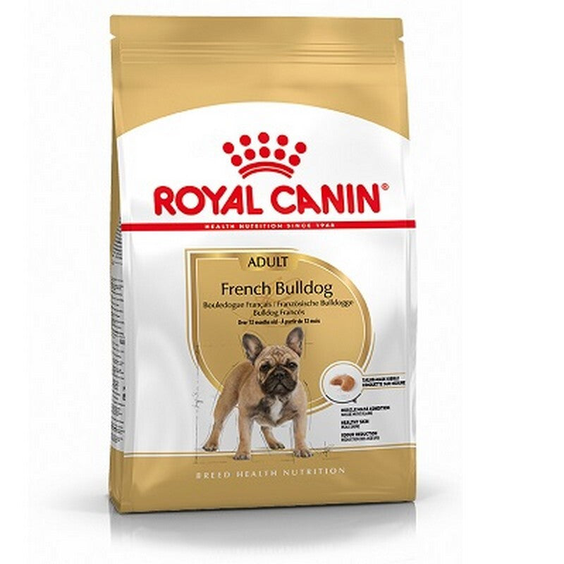 RC French Bulldog 9 kg