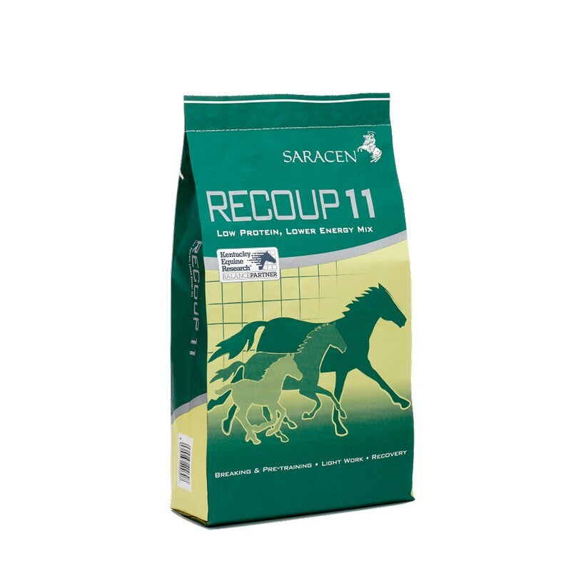 Saracen Re-Coup 11 20 kg