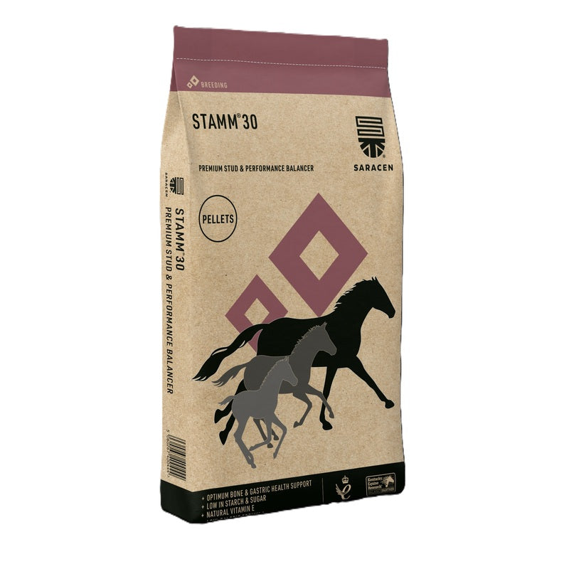 Saracen Stamm 30 20 kg