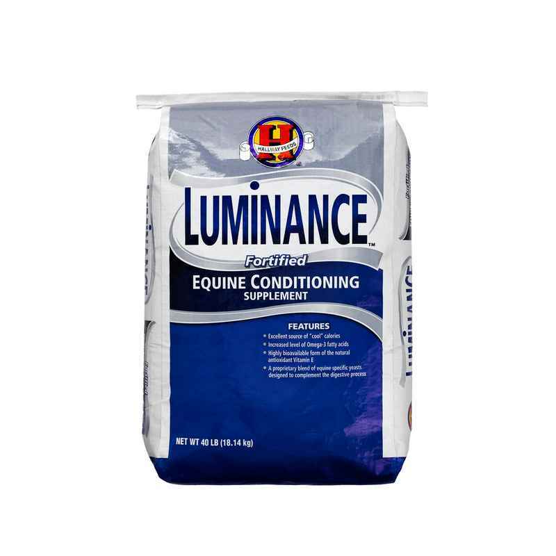 Saracen Luminance 18 kg