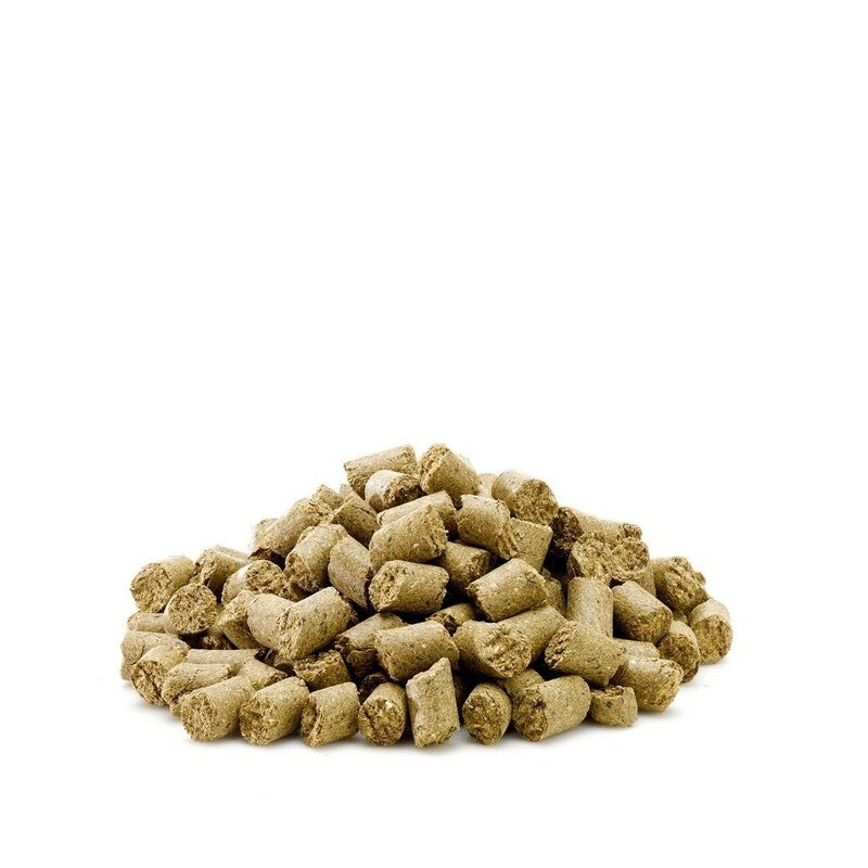 Saracen Munchies 20 kg