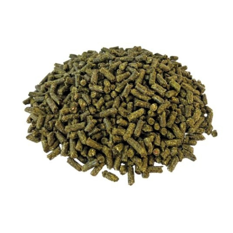 Simple System Stud Balance + 15 kg