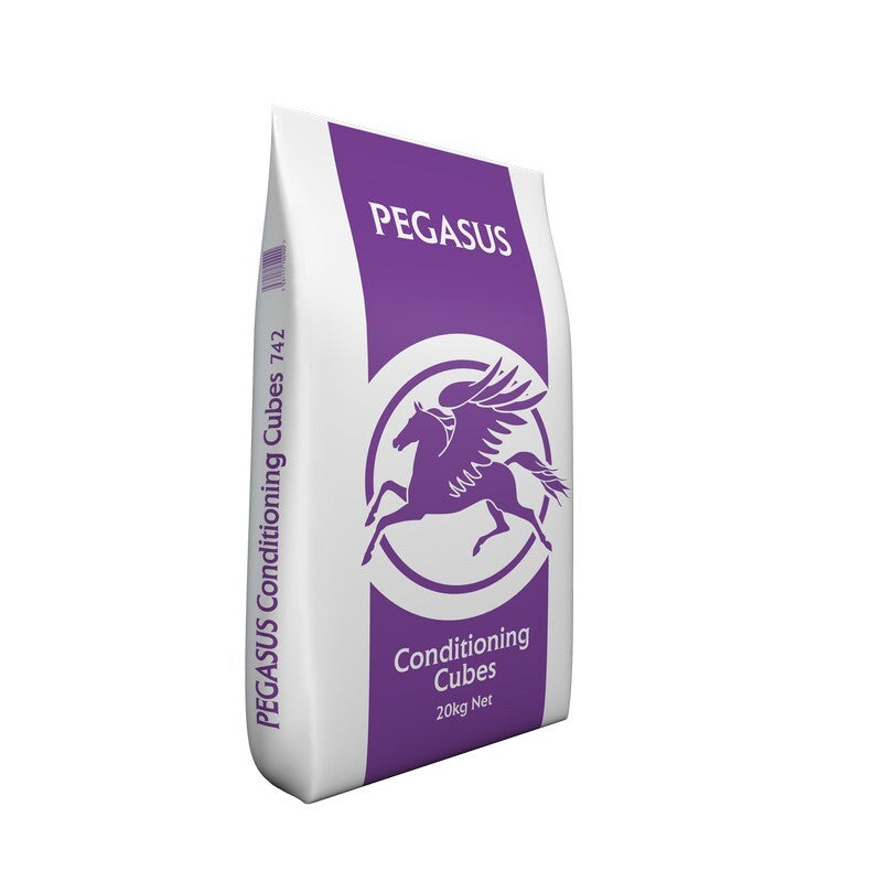 Pegasus Conditioning Cubes 20 kg