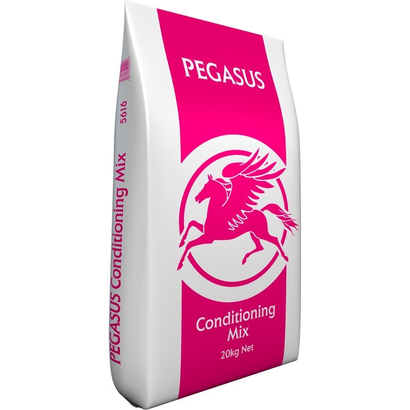 Pegasus Conditioning Mix 20 kg