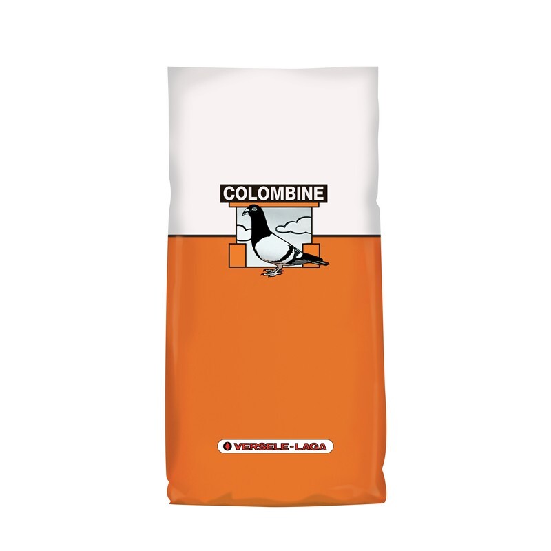 VL Bianco - Parquet White 20 kg